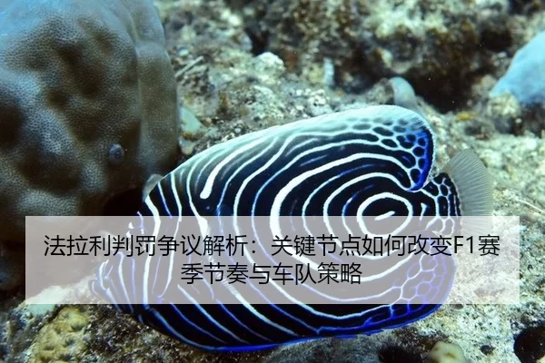 法拉利判罚争议解析：关键节点如何改变F1赛季节奏与车队策略 - Kaiyun